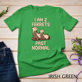 I am 2 ferrets past normal T-Shirt